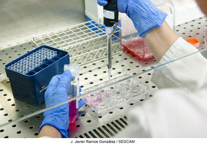 El Hospital de Guadalajara acogerá en octubre las II Jornadas de Investigación para dar a conocer y potenciar el trabajo investigador