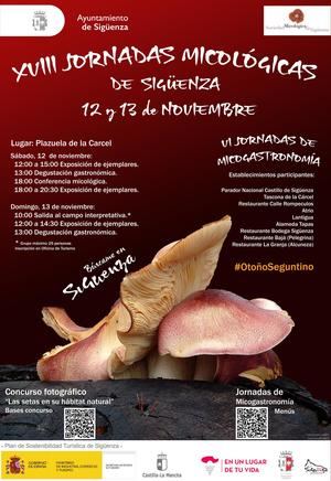 Vuelven las Jornadas Micológicas a Sigüenza, de la mano de su Plan de Sostenibilidad Turística