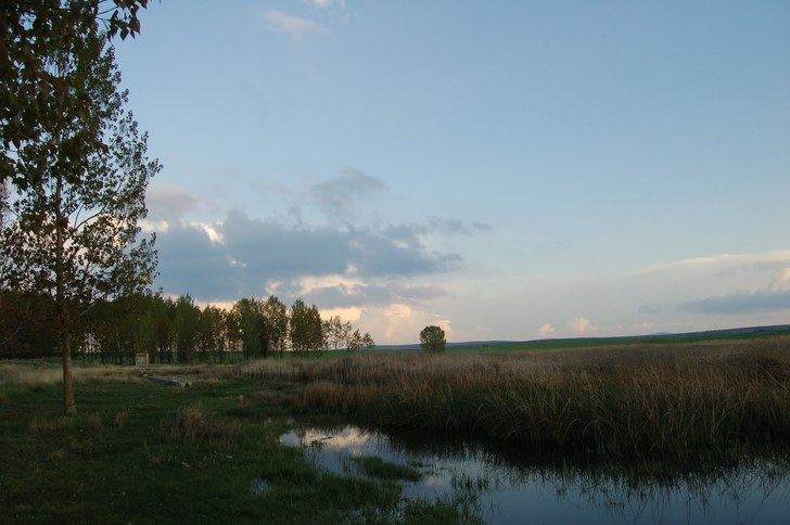 Ecologistas en Acción alerta sobre la alta concentración de nitratos en la laguna de de Tordesilos