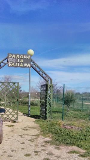 Un informe técnico da la razón al PP de Pioz y alerta del riesgo de mantener abierto el parque de La Galiana, ante la dejadez e incompetencia del gobierno