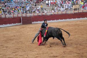 Leandro Gutiérrez abre la puerta grande de Las Cruces de Sigüenza en el certamen 'Guadalajara busca torero'