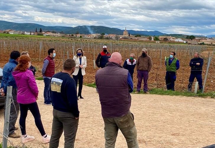 El PP-CLM solicita al Gobierno de Page ayudas transitorias para el sector del vino, al ser excluido de los fondos europeos