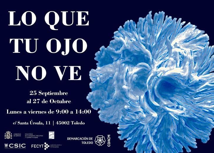 La exposición 'Lo que tu ojo no ve', en la demarcación de Toledo del COACM