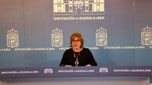 La Diputación de Guadalajara lamenta el desprecio de Page hacia la Institución y los alcaldes de la zona del incendio de Riba de Saelices