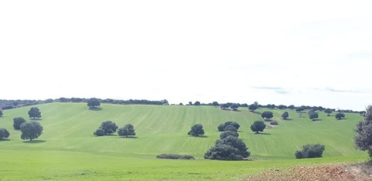 El Ayuntamiento de Yunquera de Henares celebra la denegación de autorización ambiental para el proyecto del Macrovertedero