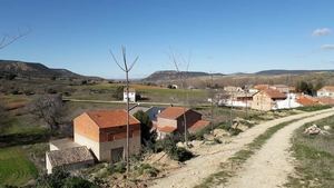 El Ayuntamiento de Mandayona planta más de 100 árboles