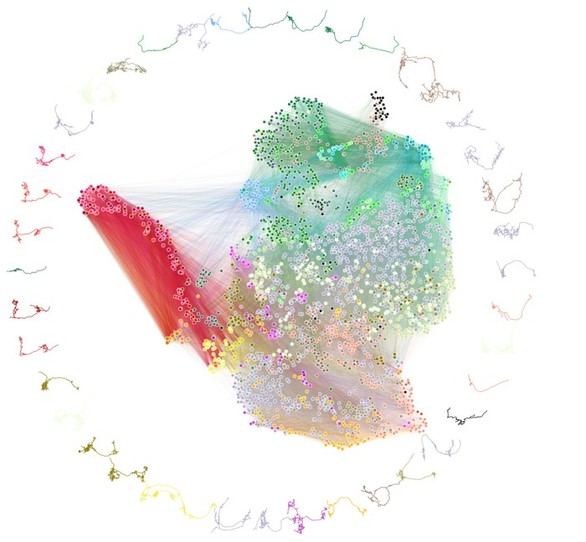 Diagrama que representa la conectividad en el cerebro de la mosca de la fruta, donde las neuronas son puntos y las líneas conexiones entre ellas. (Foto: Universidad Johns Hopkins/Universidad de Cambridge)