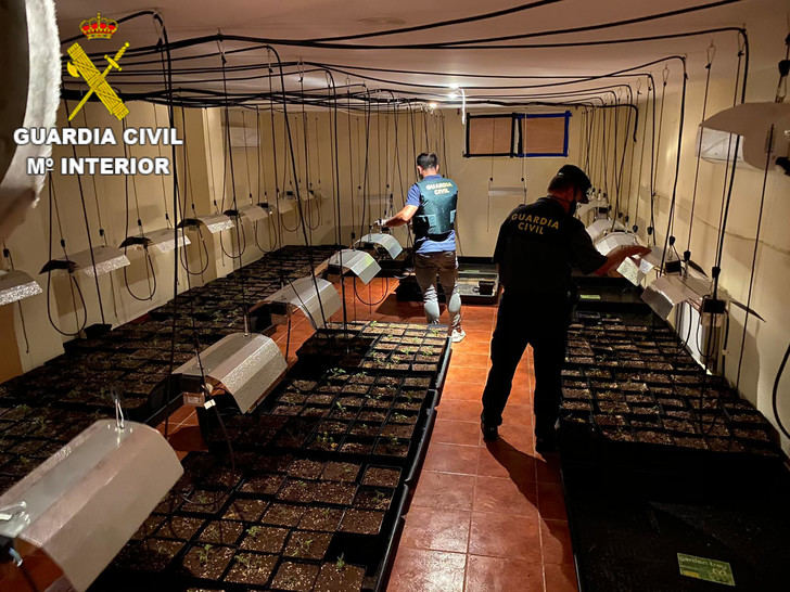 La Guardia Civil detiene a una persona por cultivo de marihuana en Fuentenava de Jábaga