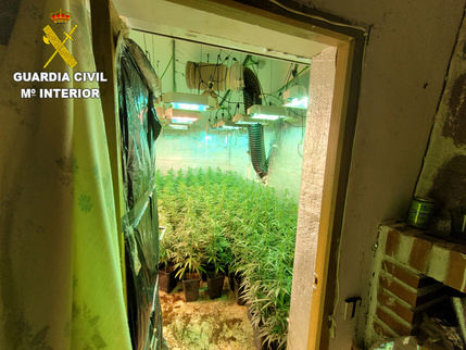 La Guardia Civil de Cuenca ha desmantelado tres plantaciones indoor de marihuana