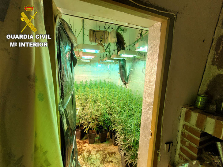 La Guardia Civil de Cuenca ha desmantelado tres plantaciones indoor de marihuana