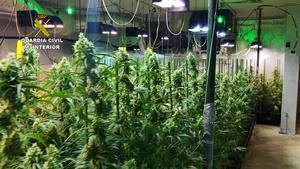 La Guardia Civil desmantela dos plantaciones de marihuana “indoor” en El Casar