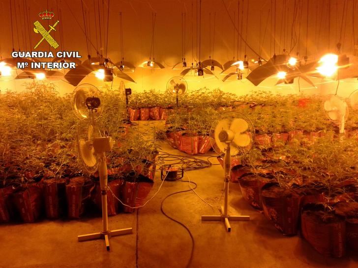 La Guardia Civil detiene a 4 personas por cultivar marihuana en Marchamalo