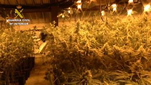 La Guardia Civil de Mora ha detenido a 11 personas por delitos de cultivo o elaboración de estupefacientes y defraudación de fluido