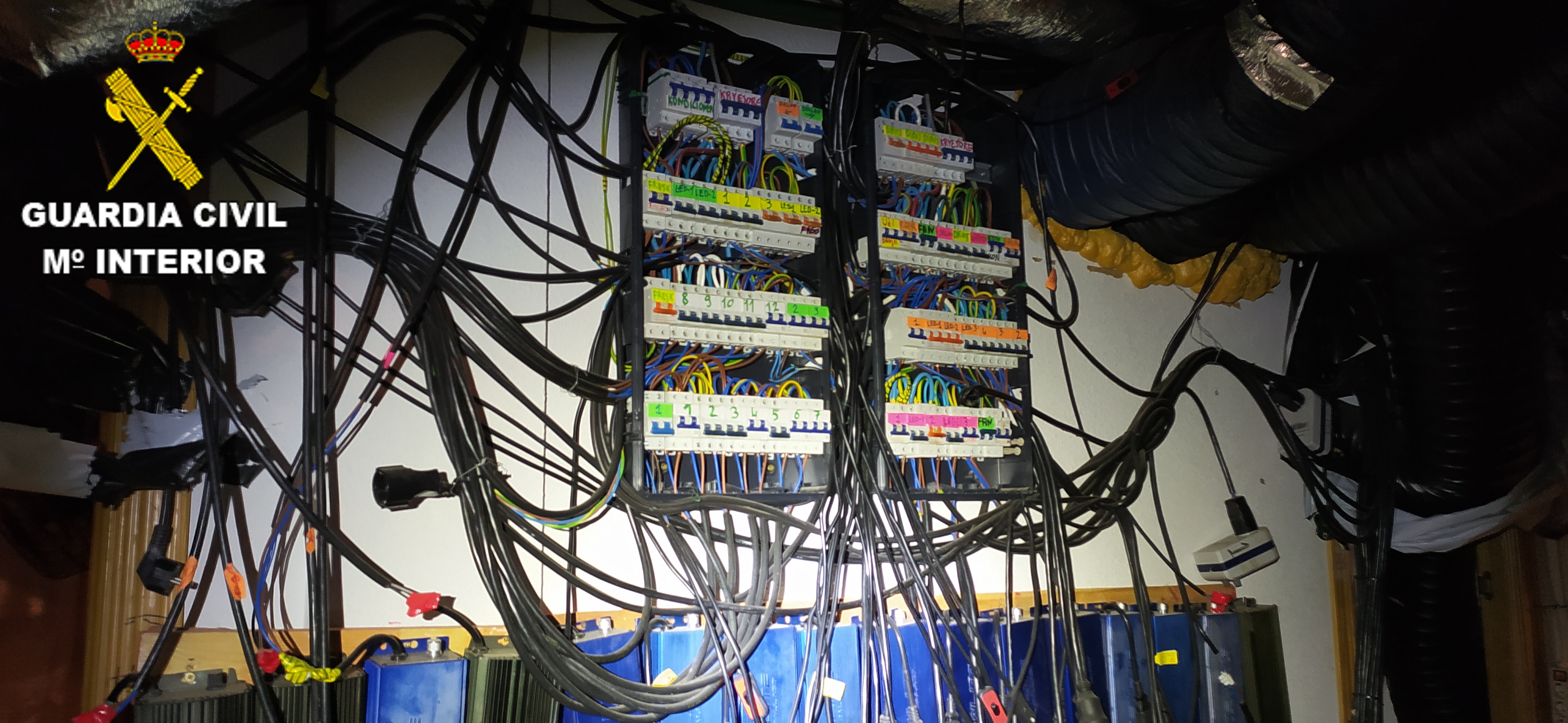 Desarticulados en Toledo tres grupos de narcos con 19 detenidos y se incautan 628 plantas de cannabis sativa viva