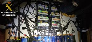 Desarticulados en Toledo tres grupos de narcos con 19 detenidos y se incautan 628 plantas de cannabis sativa viva