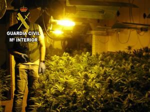 La Guardia Civil desmantela dos plantaciones de marihuana indoor en Torrejón del Rey
