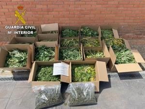 La Guardia Civil desmantela dos plantaciones de marihuana &#8220;indoor&#8221; en Torrej&#243;n del Rey y en Uceda