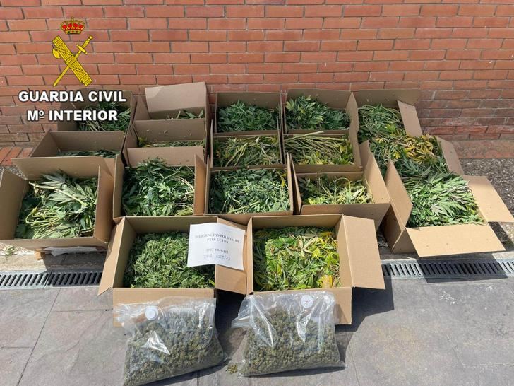 La Guardia Civil desmantela dos plantaciones de marihuana indoor en Torrejón del Rey y en Uceda