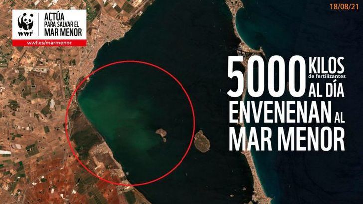 La vegetación del Mar Menor empieza a morir