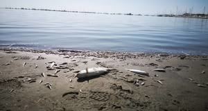 El Mar Menor al borde de la desaparición