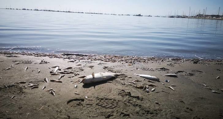 El Mar Menor al borde de la desaparición