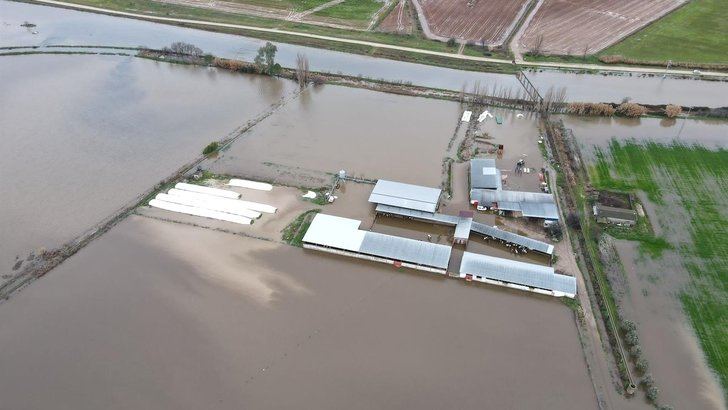 La crecida del arroyo Medrancho anega varias granjas con 1.500 cabezas de ganado afectadas
