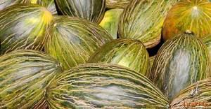 ASAJA CLM pide que no se manipulen los precios del melón y la sandía y se cumpla la Ley de la Cadena Alimentaria