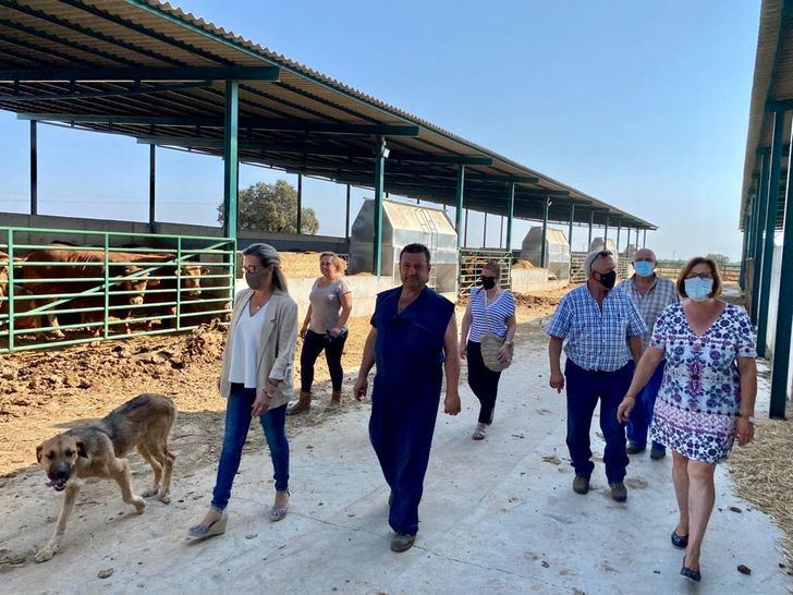 El PP-CLM pedirá en las Cortes la reprobación del ministro Garzón por criminalizar a los ganaderos con fondos públicos