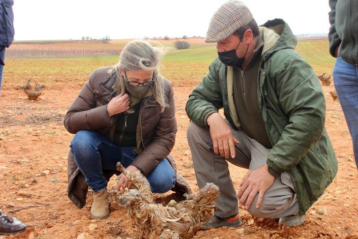 Merino denuncia que los conejos se están comiendo la renta de los agricultores ante la falta de medidas de Page