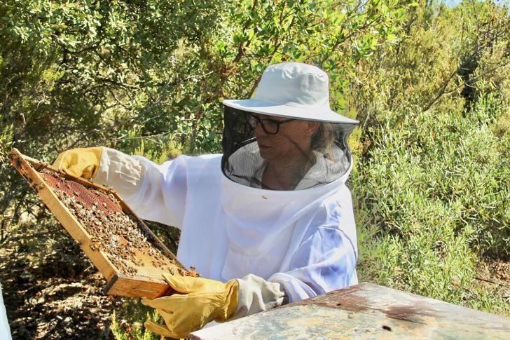 Merino ofrece a los apicultores el compromiso del PP para diseñar la solicitud de ayudas para el sector tras la peor campaña de los últimos 20 años