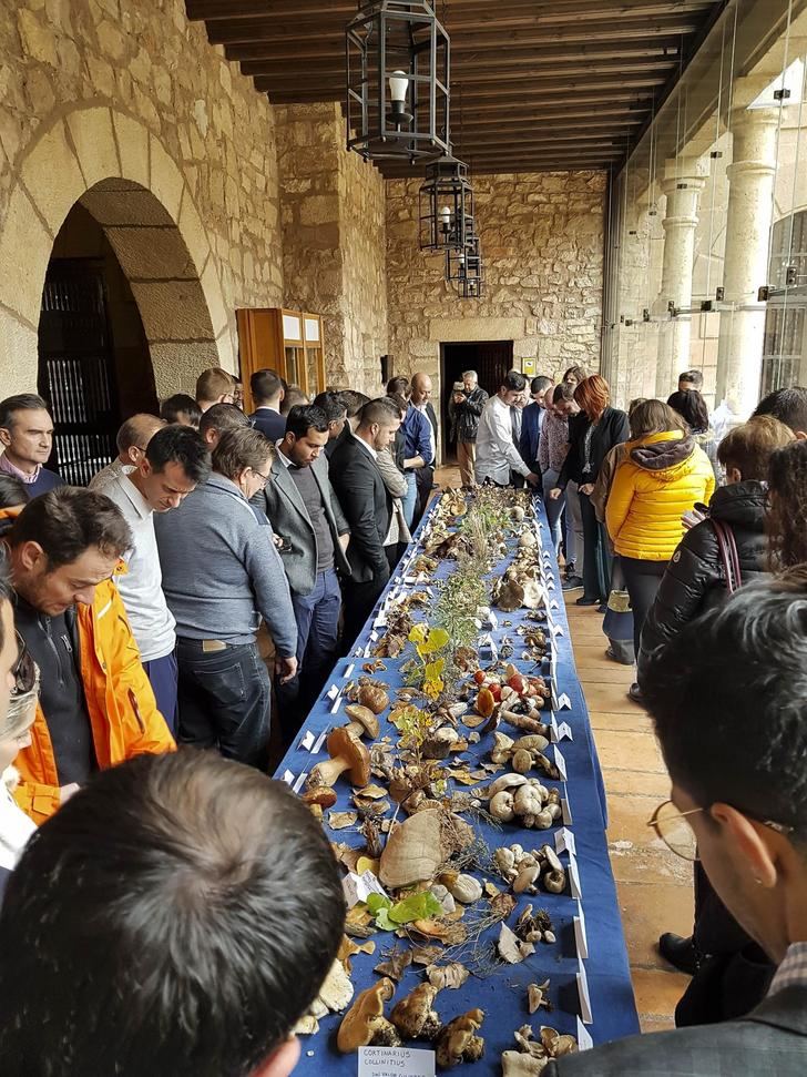 Diversas jornadas y conferencias culminan el intenso otoño de la Sociedad Micológica de Sigüenza