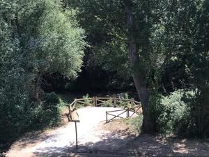 Recepcionadas las obras de recuperación de la margen derecha de la ribera del Henares de Guadalajara