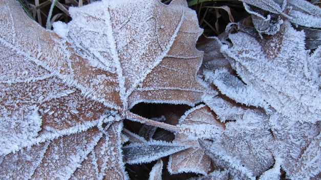 Molina de Aragón vuelve marcar este domingo la mínima de España: 9,4 grados bajo cero