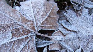 Sigüenza con -9,2ºC a las 7.50 horas y Molina con -9,1ºC a las 7.30 horas marcan las mínimas de España
