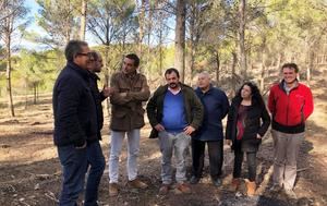 En la provincia de Guadalajara se realizan trabajos silvícolas preventivos durante el invierno en una superficie de entre las 1.500 y 2.000 hectáreas cada año