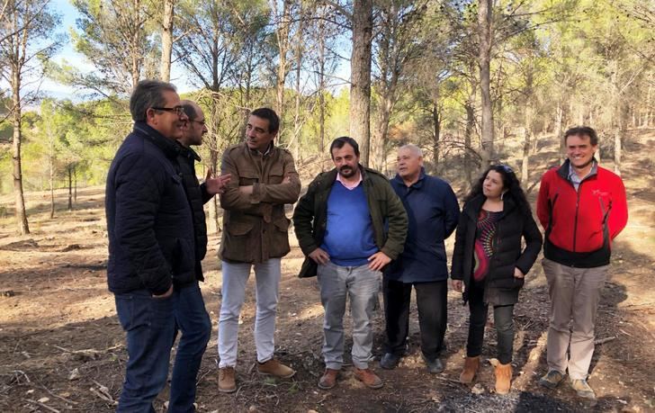 En la provincia de Guadalajara se realizan trabajos silvícolas preventivos durante el invierno en una superficie de entre las 1.500 y 2.000 hectáreas cada año