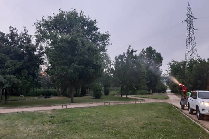 En marcha en Azuqueca la campaña para el control de la proliferación de mosquitos