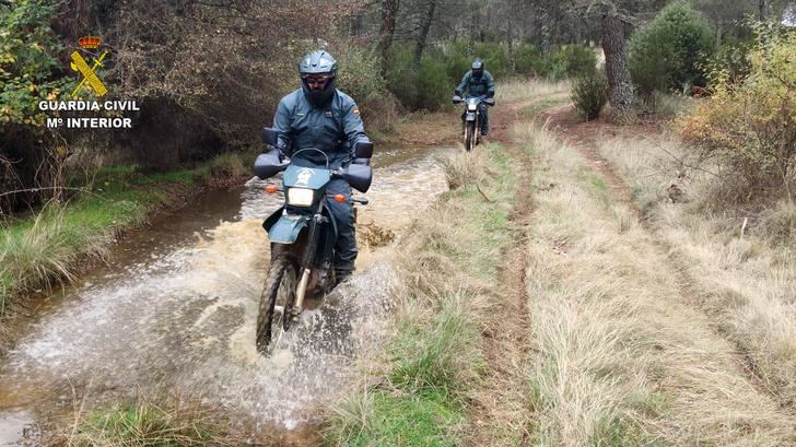 El SEPRONA investiga un delito de abandono de un galgo español con resultado de muerte en Alovera