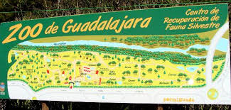 Muere la osa más veterana del zoo de Guadalajara