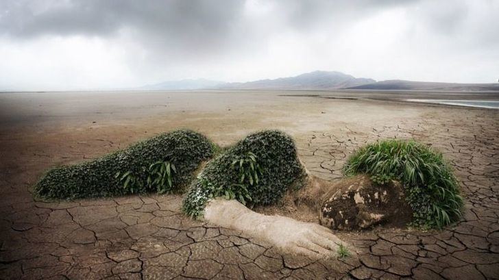 Un centenar de organizaciones exigen a los gobiernos un 'mundo positivo' para la naturaleza para 2030