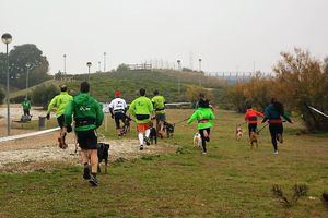 El Mushing de este domingo en Valdeluz es puntuable para la Copa de Madrid y el Circuito Provincial de Guadalajara