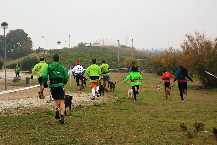 El Mushing de este domingo en Valdeluz es puntuable para la Copa de Madrid y el Circuito Provincial de Guadalajara