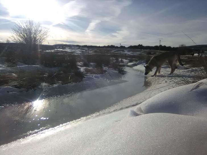 Se suspenden las clases en Castilla-La Mancha hasta el próximo lunes ante la previsión de fuertes nevadas, este viernes día 8 NO habrá colegio