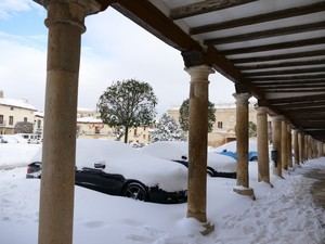 La colaboración ciudadana minimiza el impacto de Filomena en Cogolludo