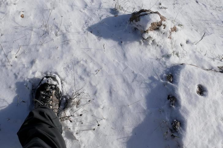 Foto : EDUARDO BONILLA