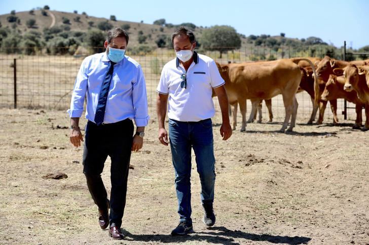 Núñez envía una carta a Page para exigirle que retire sus guías de consumo para que “no sean un ataque directo a los ganaderos de la región”