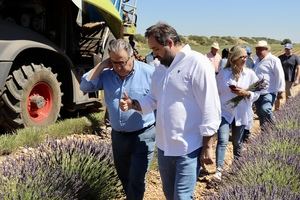 Nuñez visita los campos de lavanda de Brihuega e insta a Page a que se tome en serio al sector de la lavanda: Detrás hay muchos puestos de trabajo, economía y capacidad de fijar población