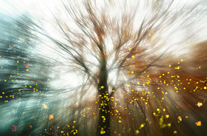 Octubre comenzará con subida térmica, cielos poco nubosos y alguna lluvia débil en Galicia, Baleares y Pirineos