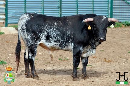 X Certamen Alfarero de Plata