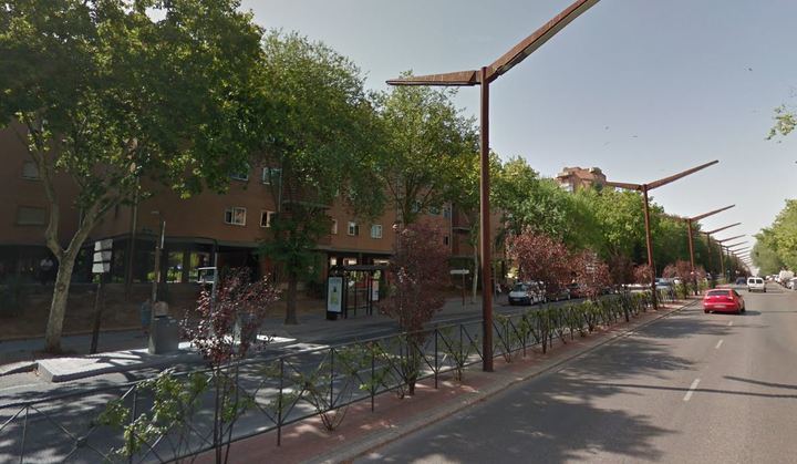 Una mujer recibe una paliza de su hijo en plena avenida del Ejército de Guadalajara